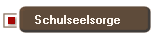 Schulseelsorge
