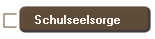 Schulseelsorge